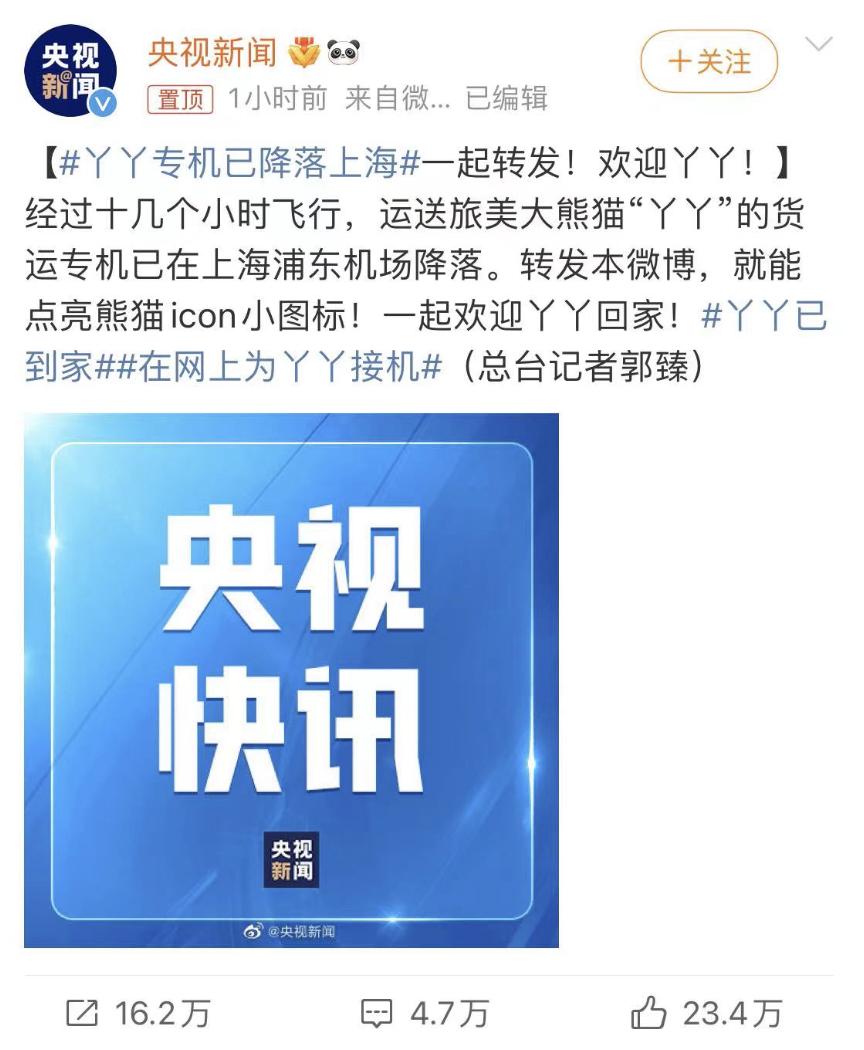 丫丫目前回国的样子,丫丫回国是好事还是坏事