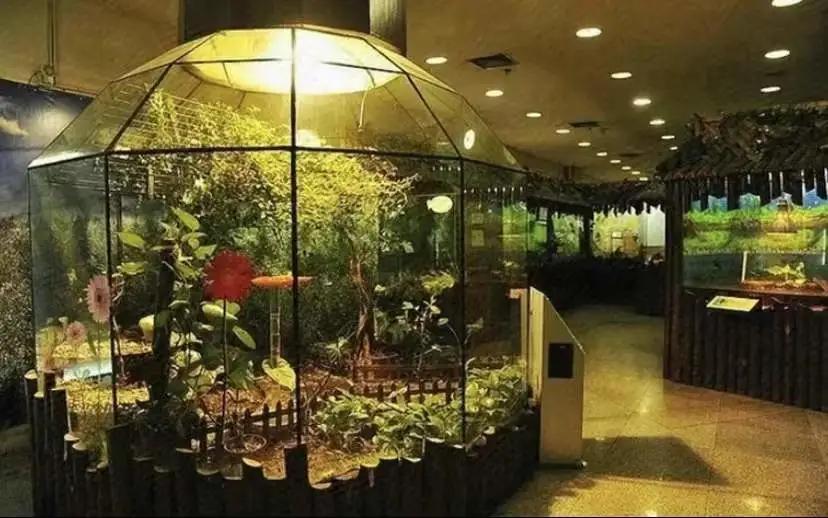 浦东亲子游玩地方,浦东遛娃好去处室内