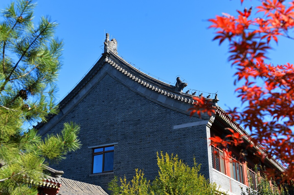 大学挂科太多大四还有办法补救吗,大学挂科影响大4考公吗