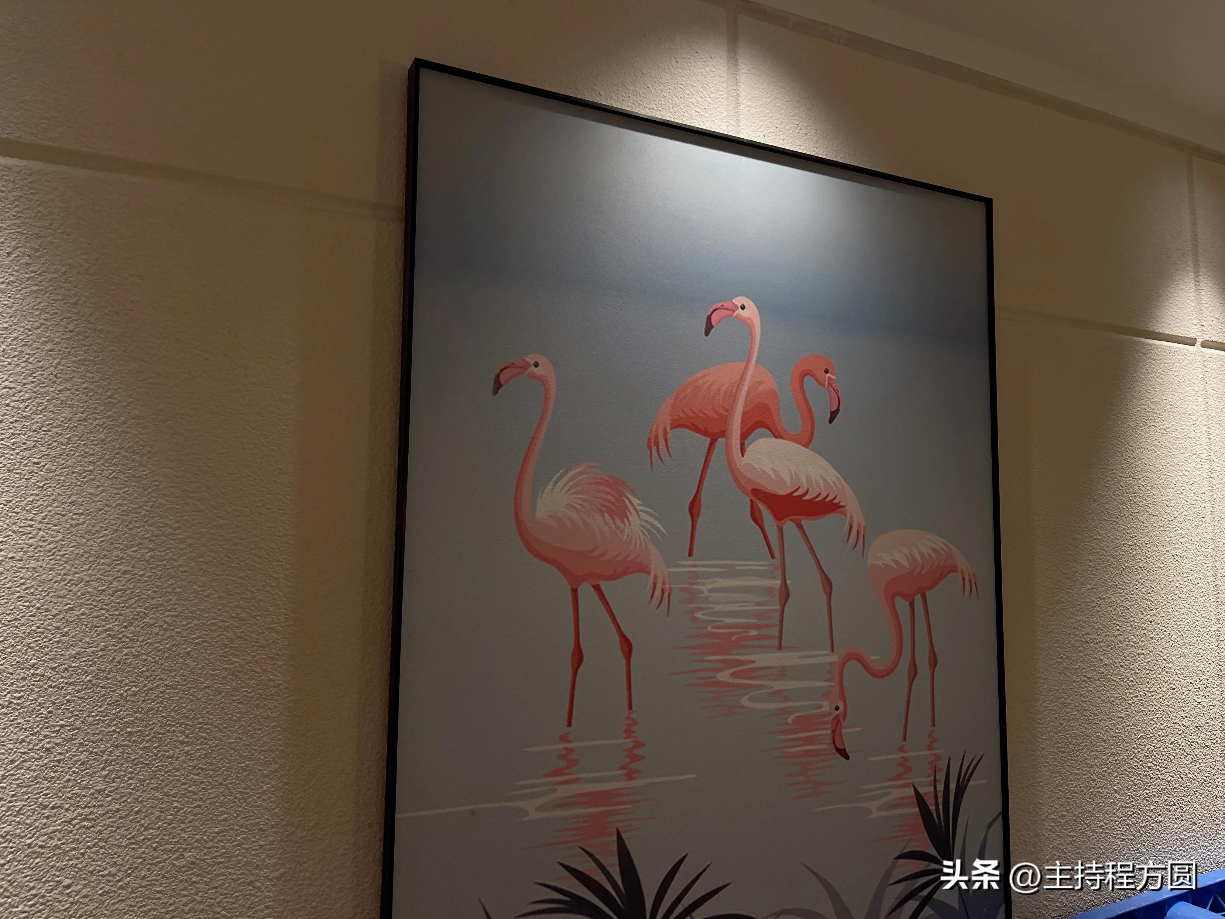 旅途记忆酒店,旅途记忆摄影