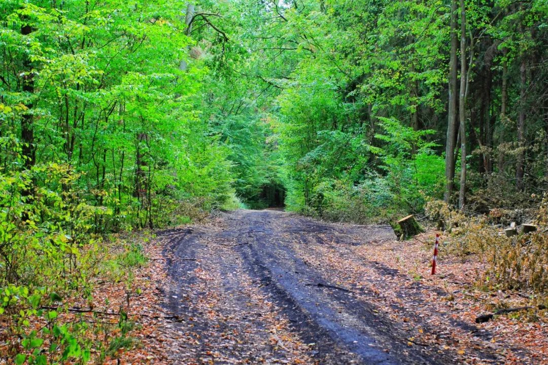 寰风敳鍗囬檷绾ф煆鏋楄但濉攙s姹夊牎鐩存挱 (鍖楁23澶╄嚜椹炬父涔嬪痉鍥芥眽鍫″埌鏌忔灄)