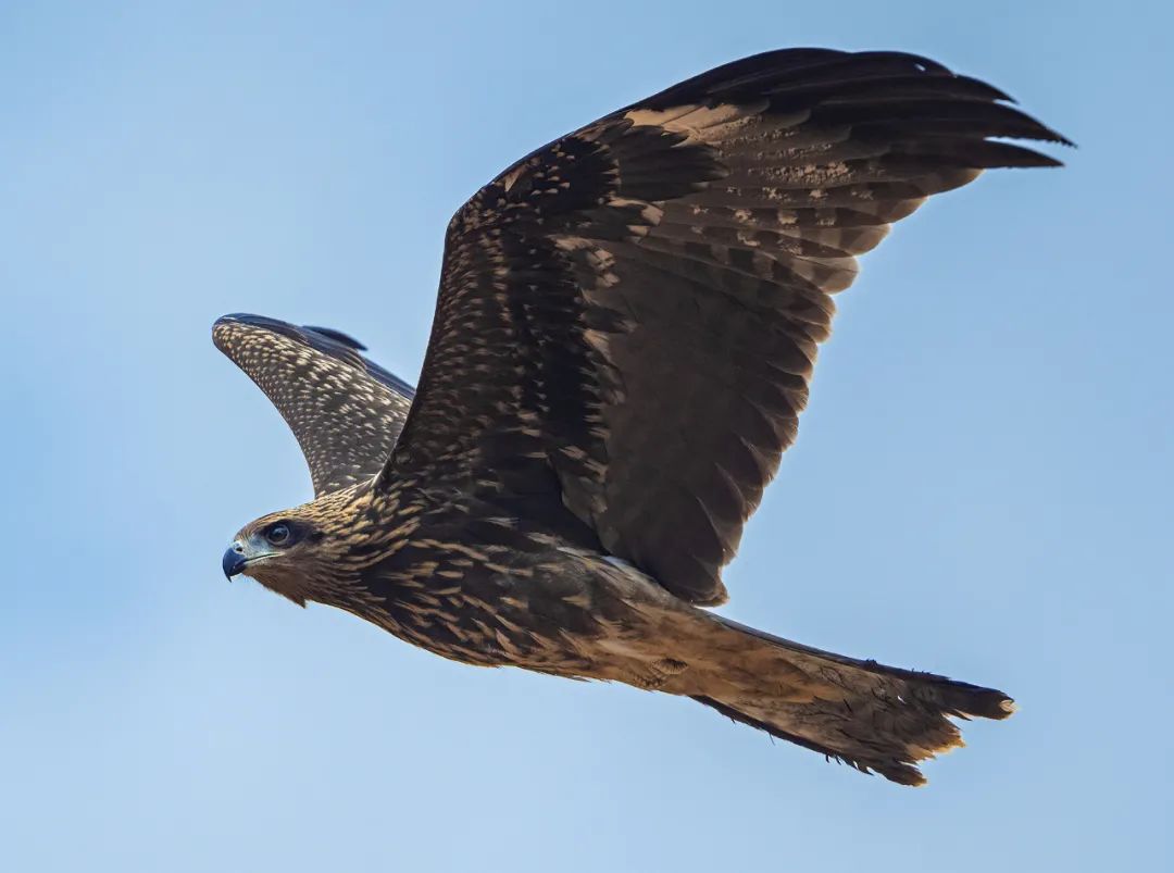 摄影师于海童​：尼康Z9基本满足了我在照片与视频领域的所有需求