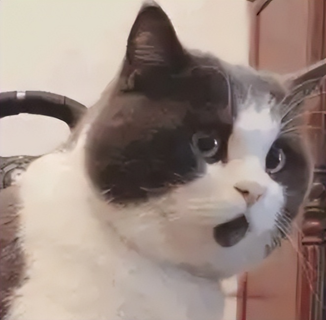 大学生群体小心这些兼职陷阱,其实很多兼职很多违法你中招了吗