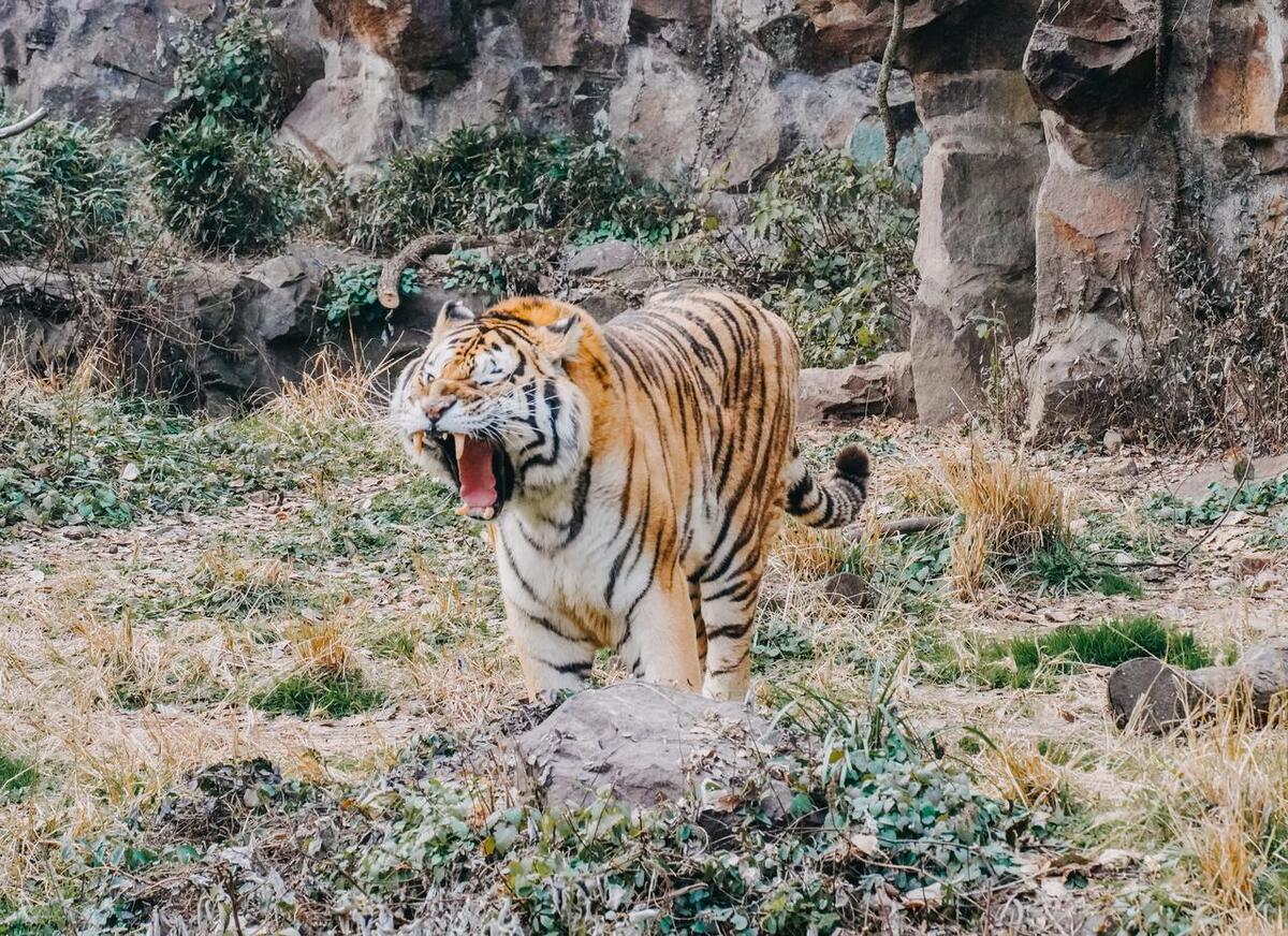 杭州十大景点英文介绍,杭州必去十大网红景点