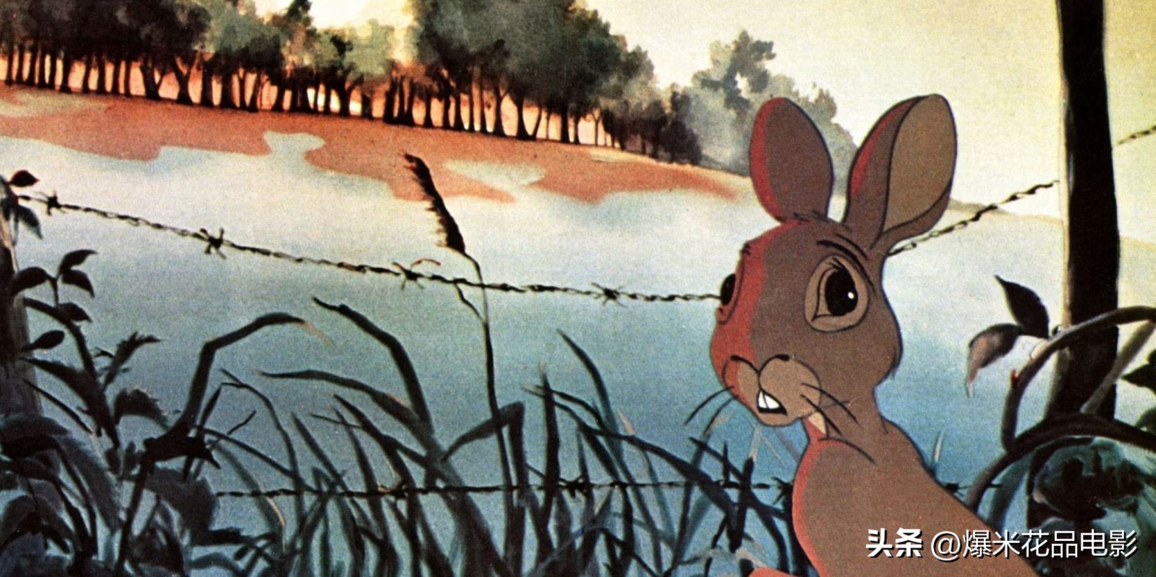 10部悲伤的动画电影让你不禁落泪,十部极度催泪动画电影