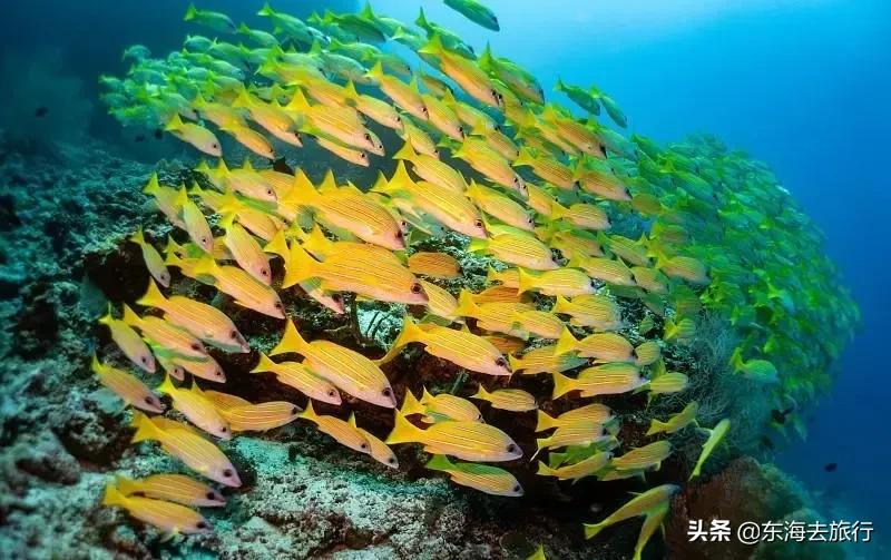 春节是去三亚好玩儿还是去北海好,广西北海旅游必去十大景点