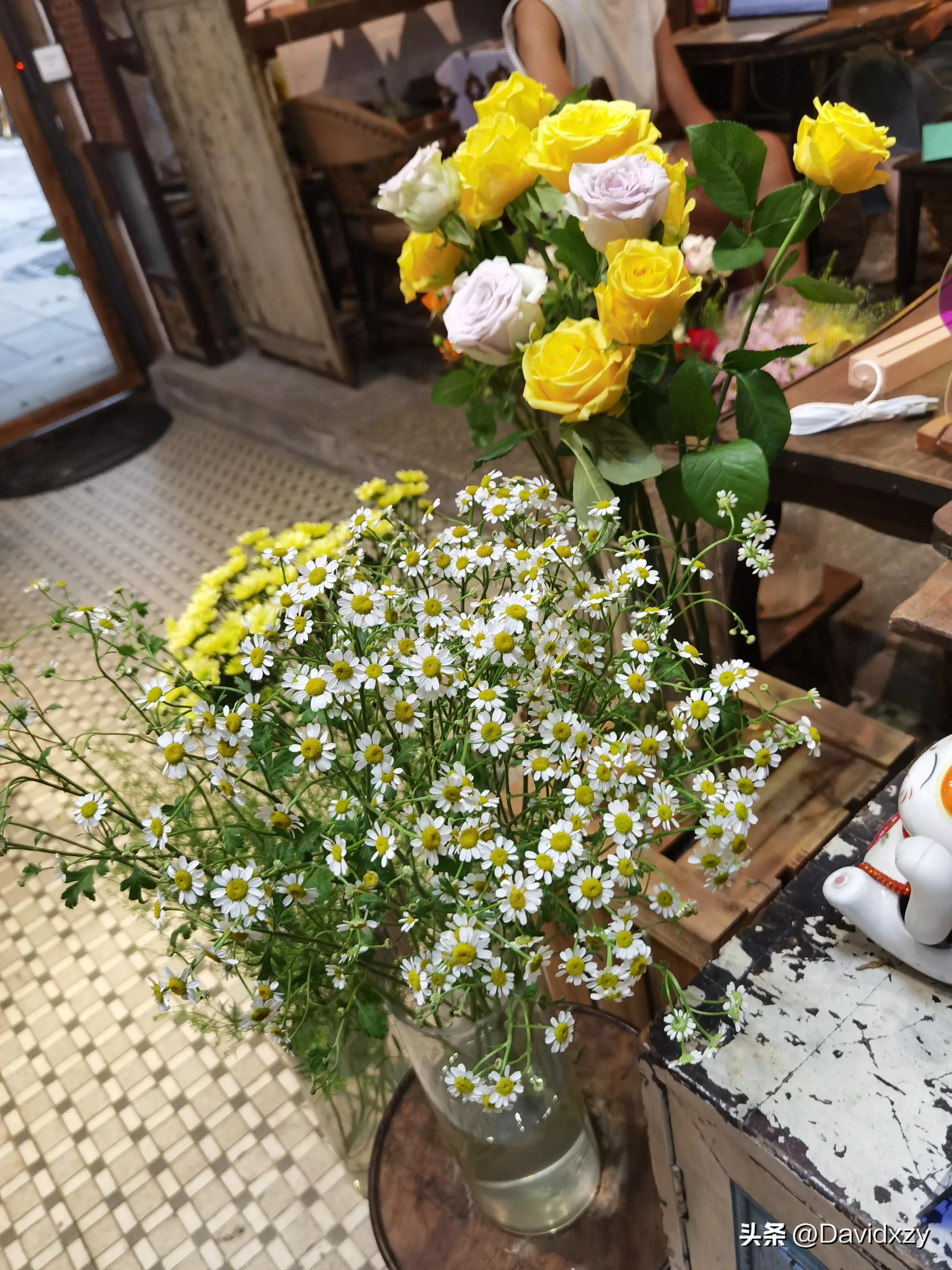 这位西关小姐创业的故事很励志（原创）