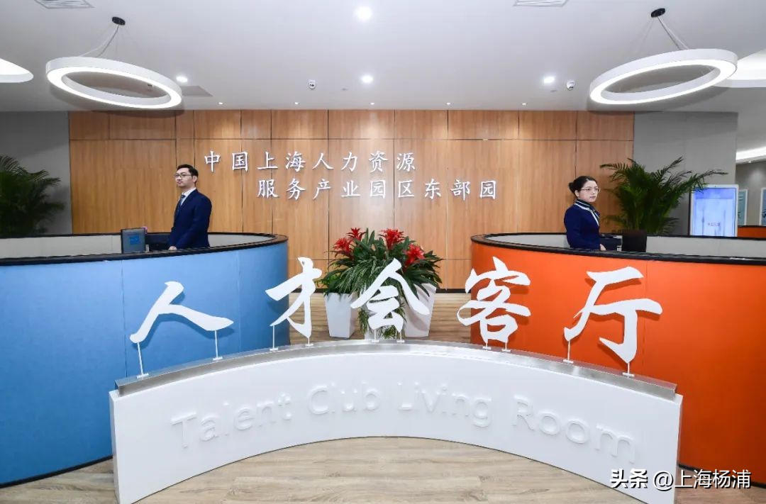 人才强区聚力打造人才新高地,关于建设人才强区八条措施