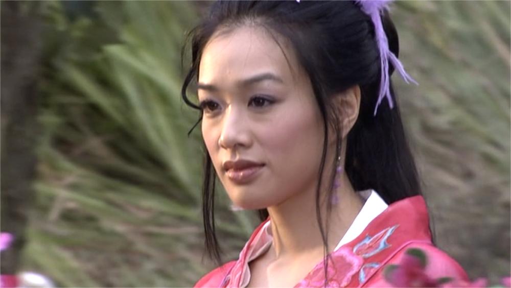 天龙八部中的美女排行榜,天龙八部里面的女角色