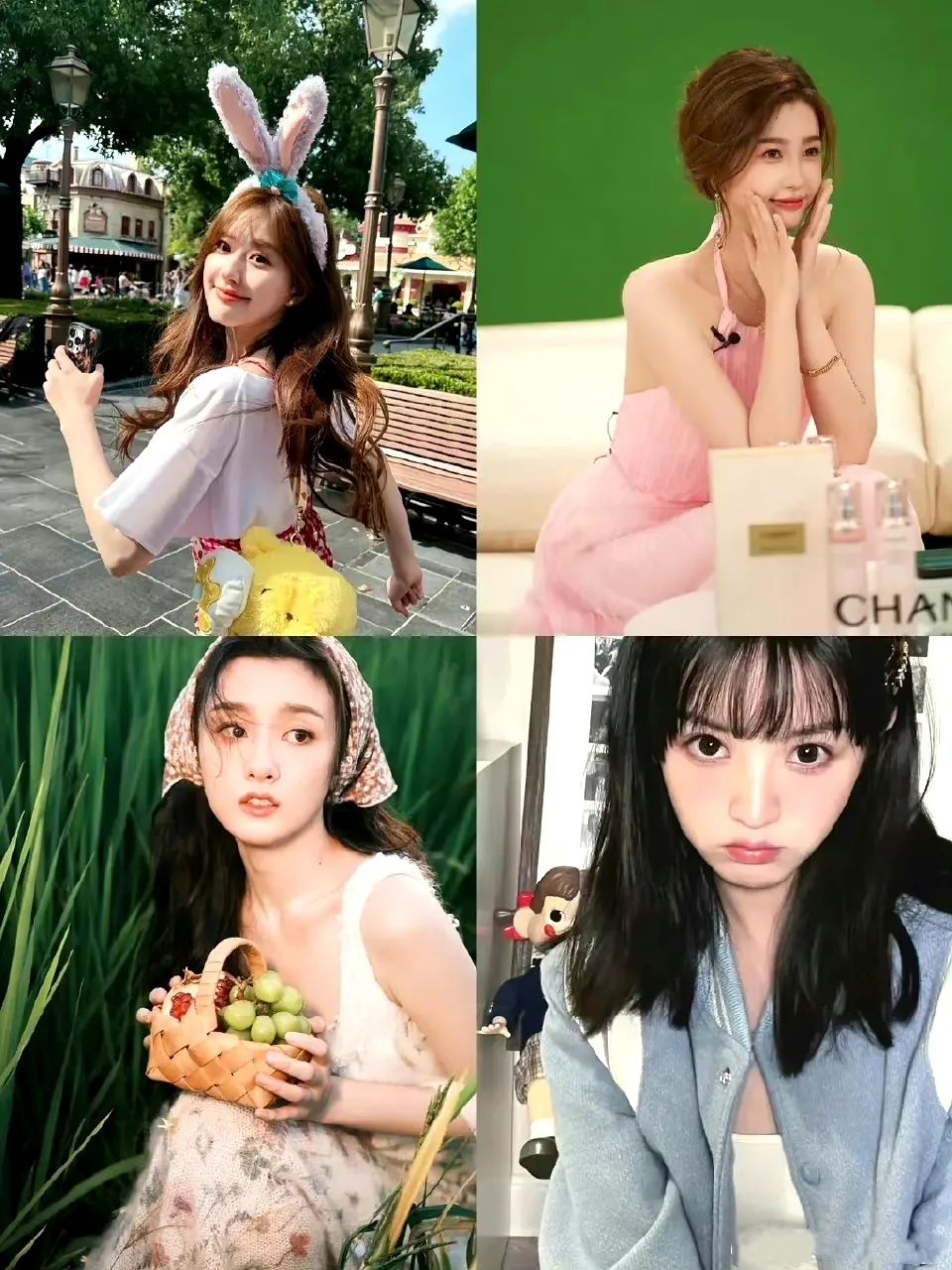 四系95花，各有各的美！