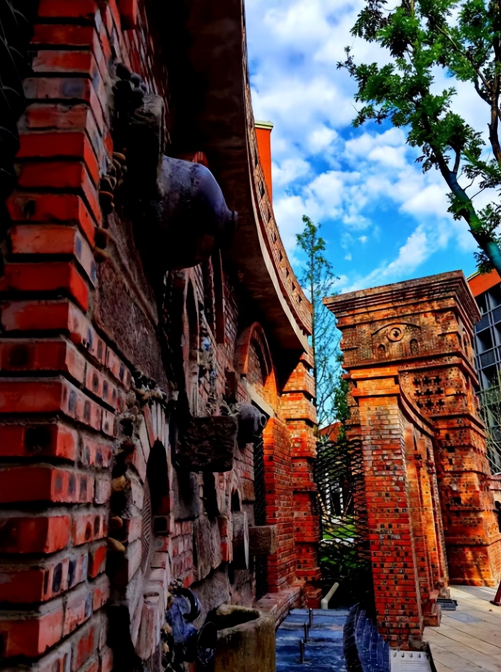 自然里,以青禾育童心——童心小学教育集团成功打造国际自然教育品牌