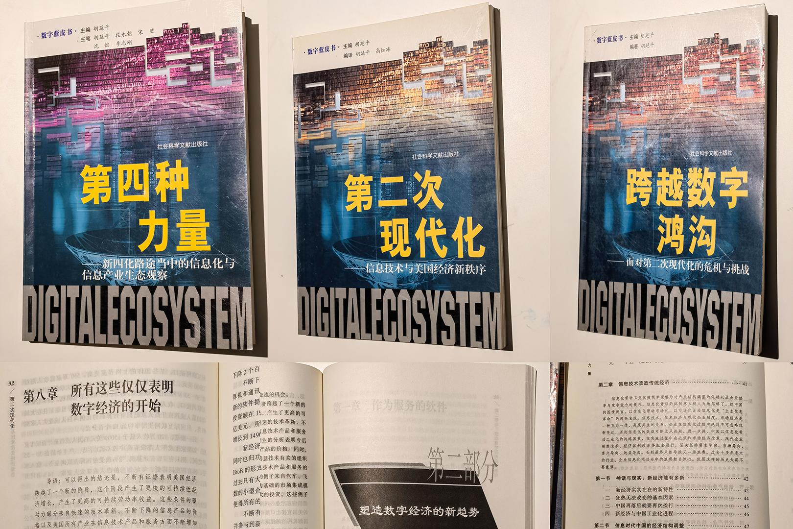 变迁途中的数字经济生态:下一个20年9个相信,与20年前这丛书有关