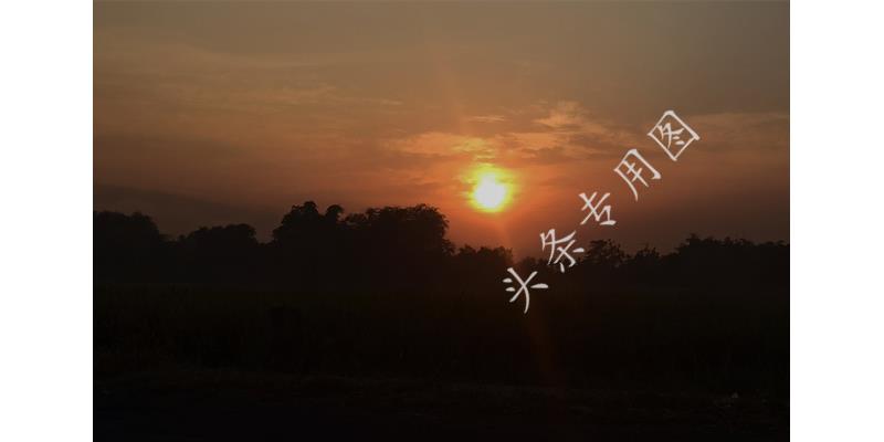 女子40岁未嫁人要求给弟弟买房,女子40岁未嫁要求给弟弟买房