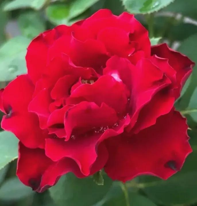 头条新手创作注意事项,头条创作注意哪些事项