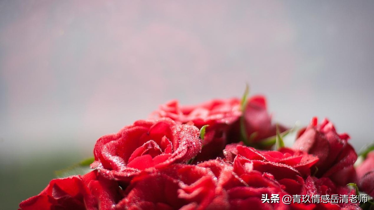 高情商女人如何要情人节礼物,高情商的女人怎么要情人节礼物