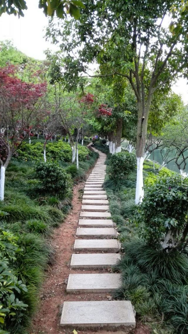 石林印象酒,石林印象大酒店