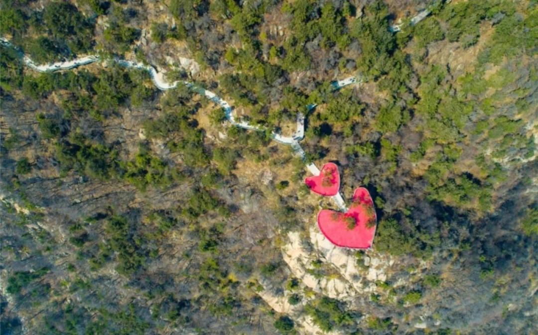 有情即免票，浪漫七夕，天蒙山给你一个爱的约定！