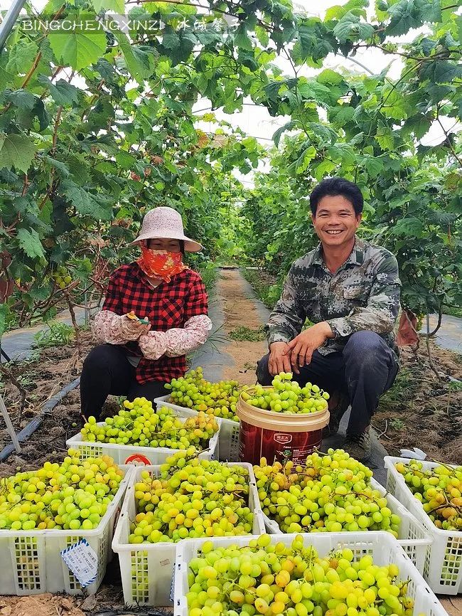 旅居海南,旅居式旅游生活海南