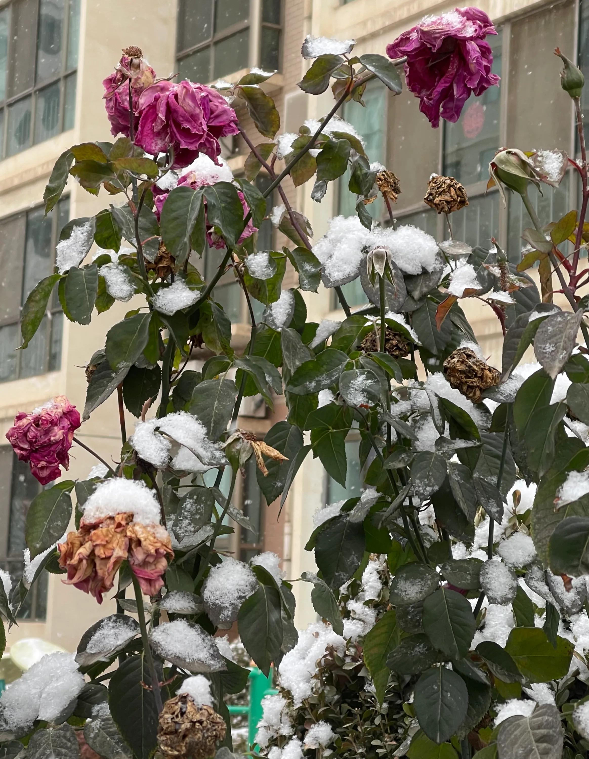 古诗词的当代表达,古诗文中对应现代文优美语句