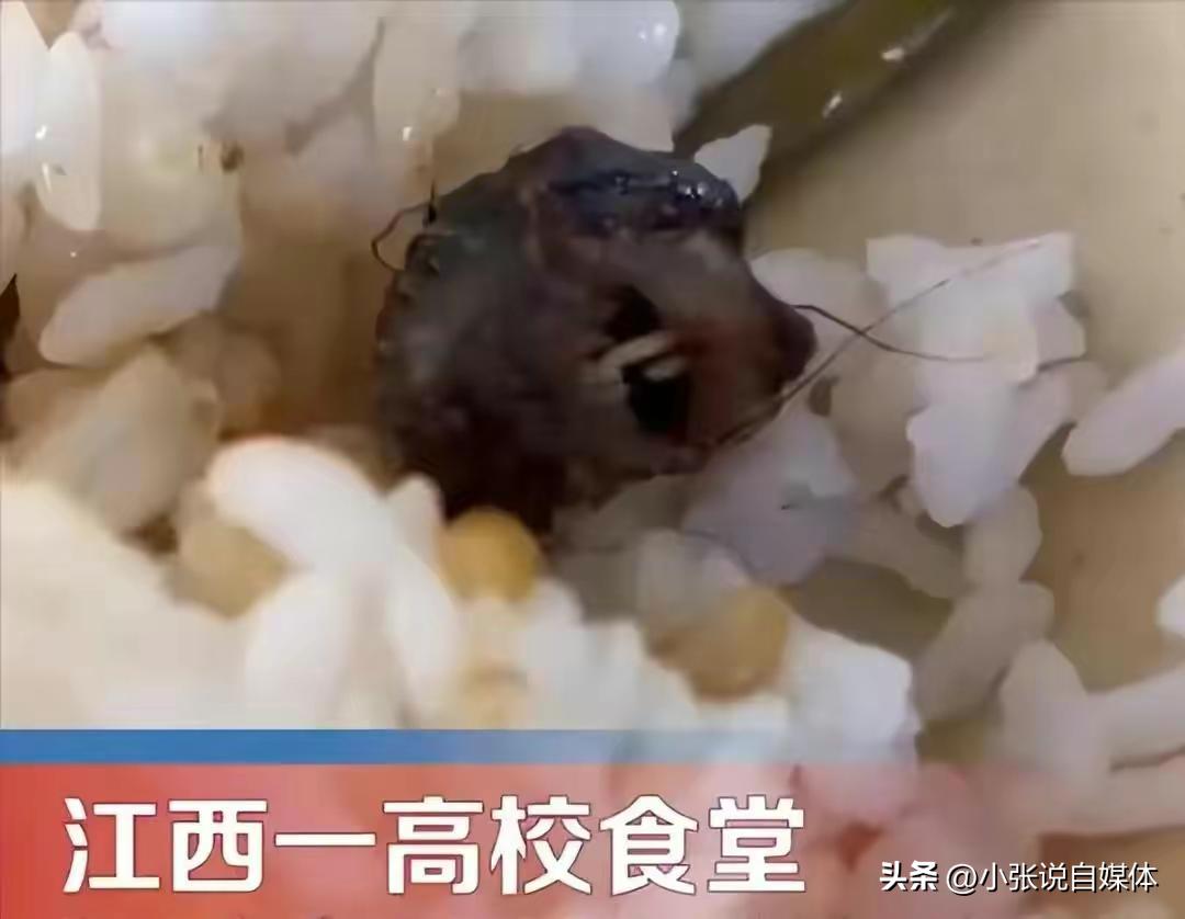 江西食堂真厉害！小便池里洗餐具，鼠头升级大青虫！