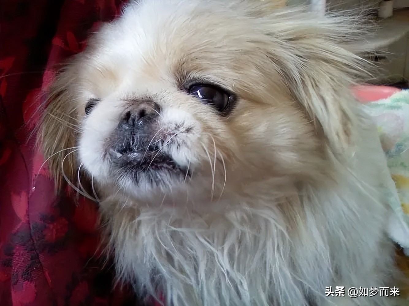 发生在我身边的趣事日记,发生在我身边的廉洁小故事