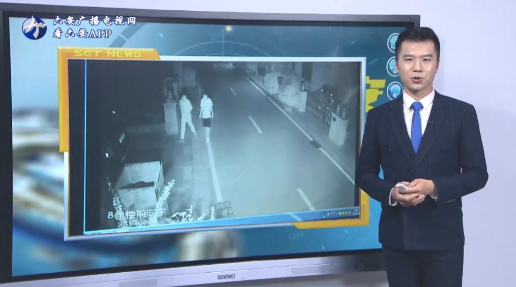 碧桂园物业抓小偷视频,碧桂园保安抓小偷