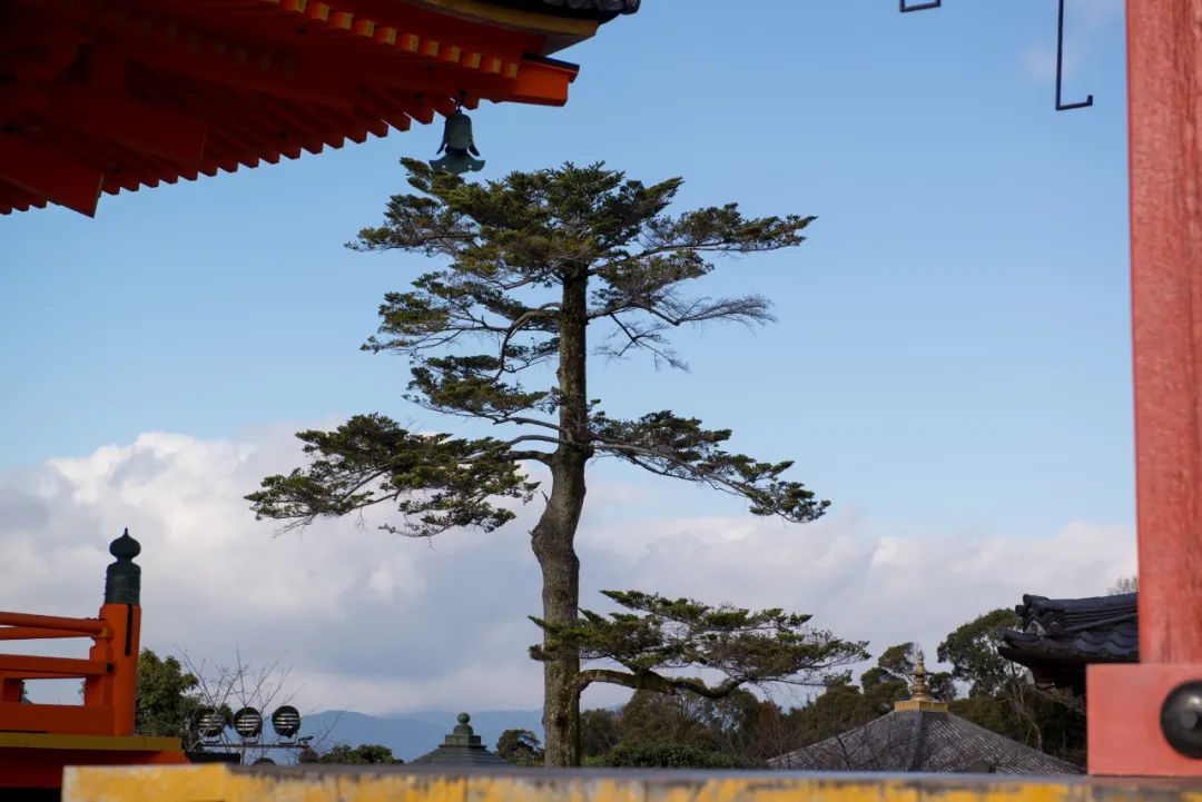 日本01年出生人口,日本01假面骑士