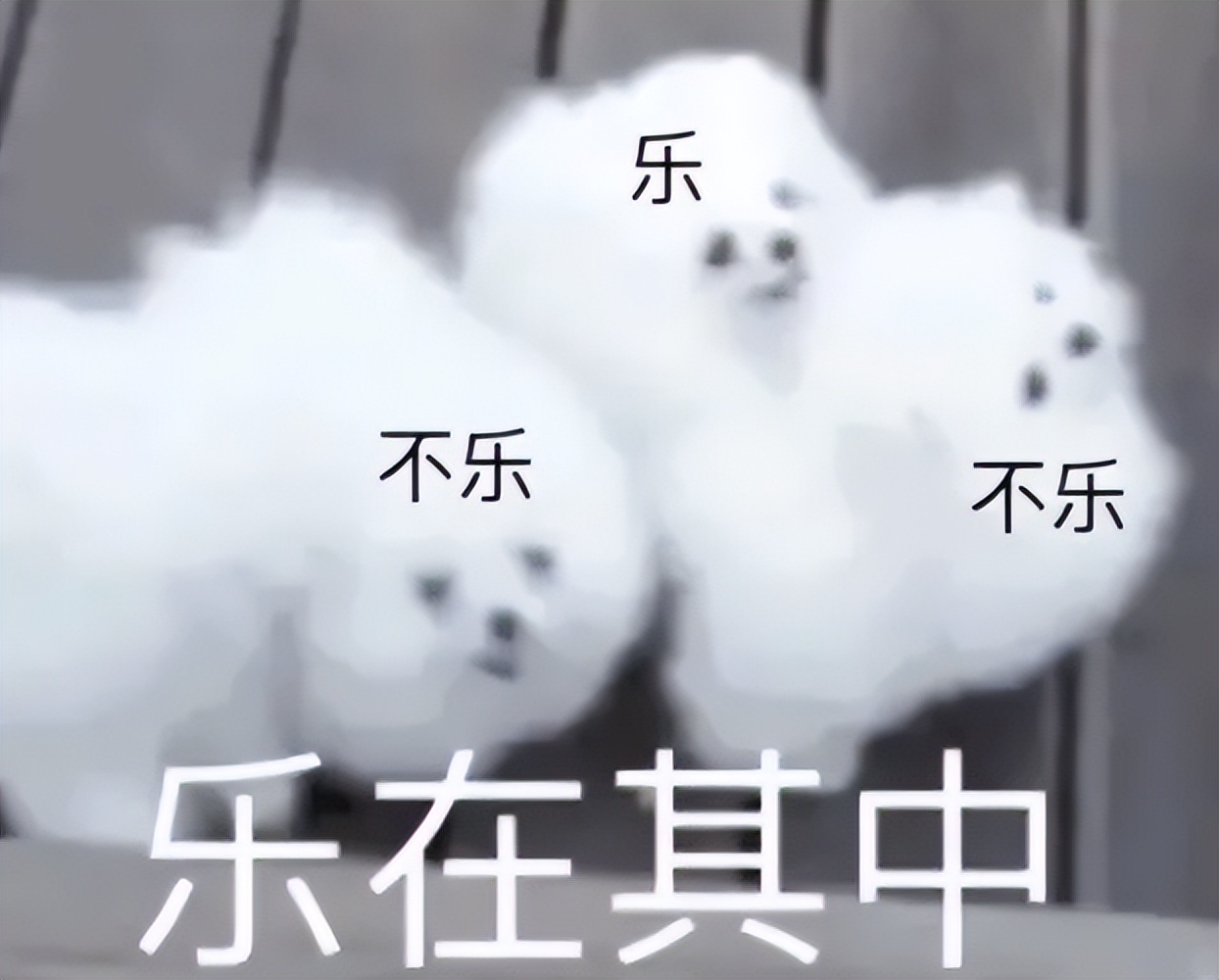 如何挑选合适的电竞显示器,目前主流显示器选购