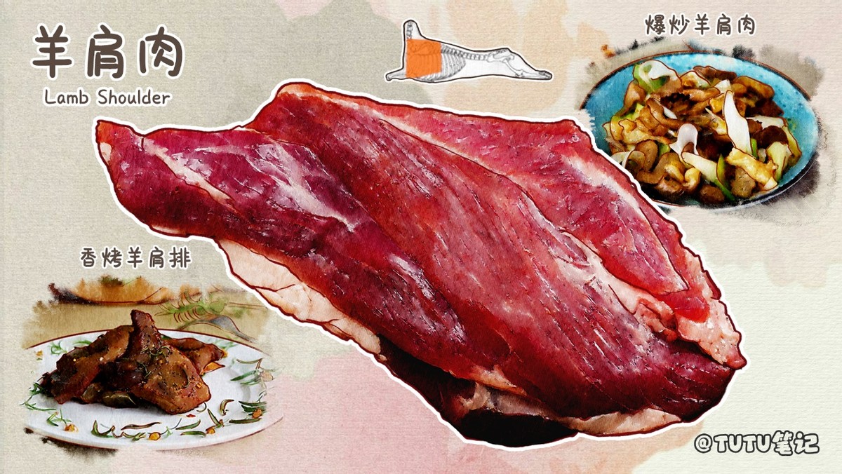 常见羊肉吃法和分类,史上最全羊肉各部位吃法
