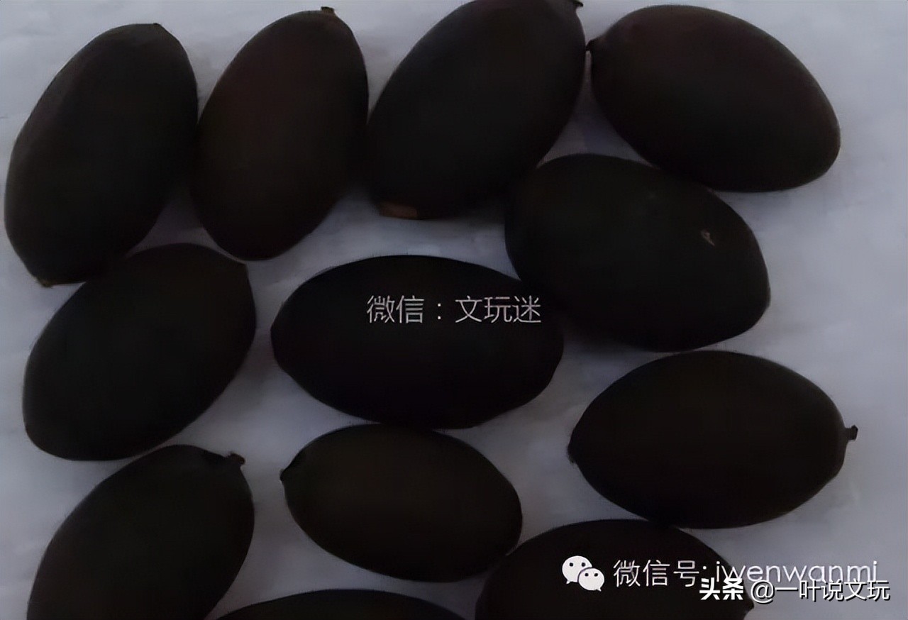 这玩意儿15元一斤,改成手串后要申遗?!太TM离谱了吧?