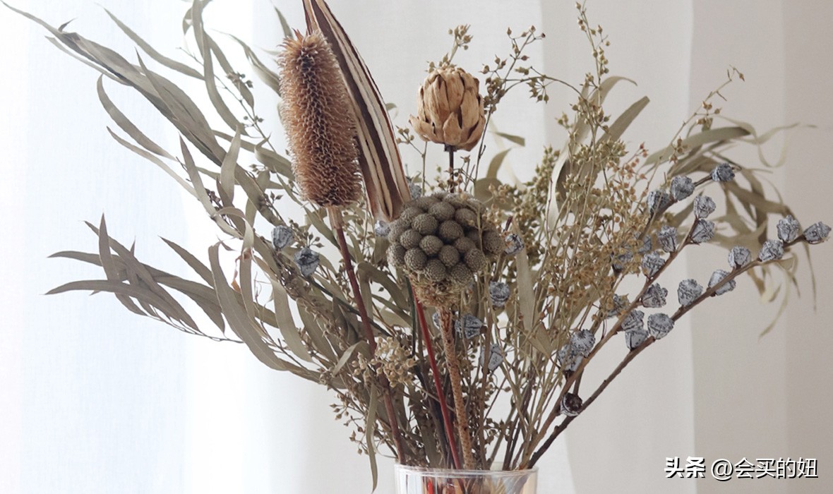 好看的绿植店铺推荐,招财又好养的店铺绿植