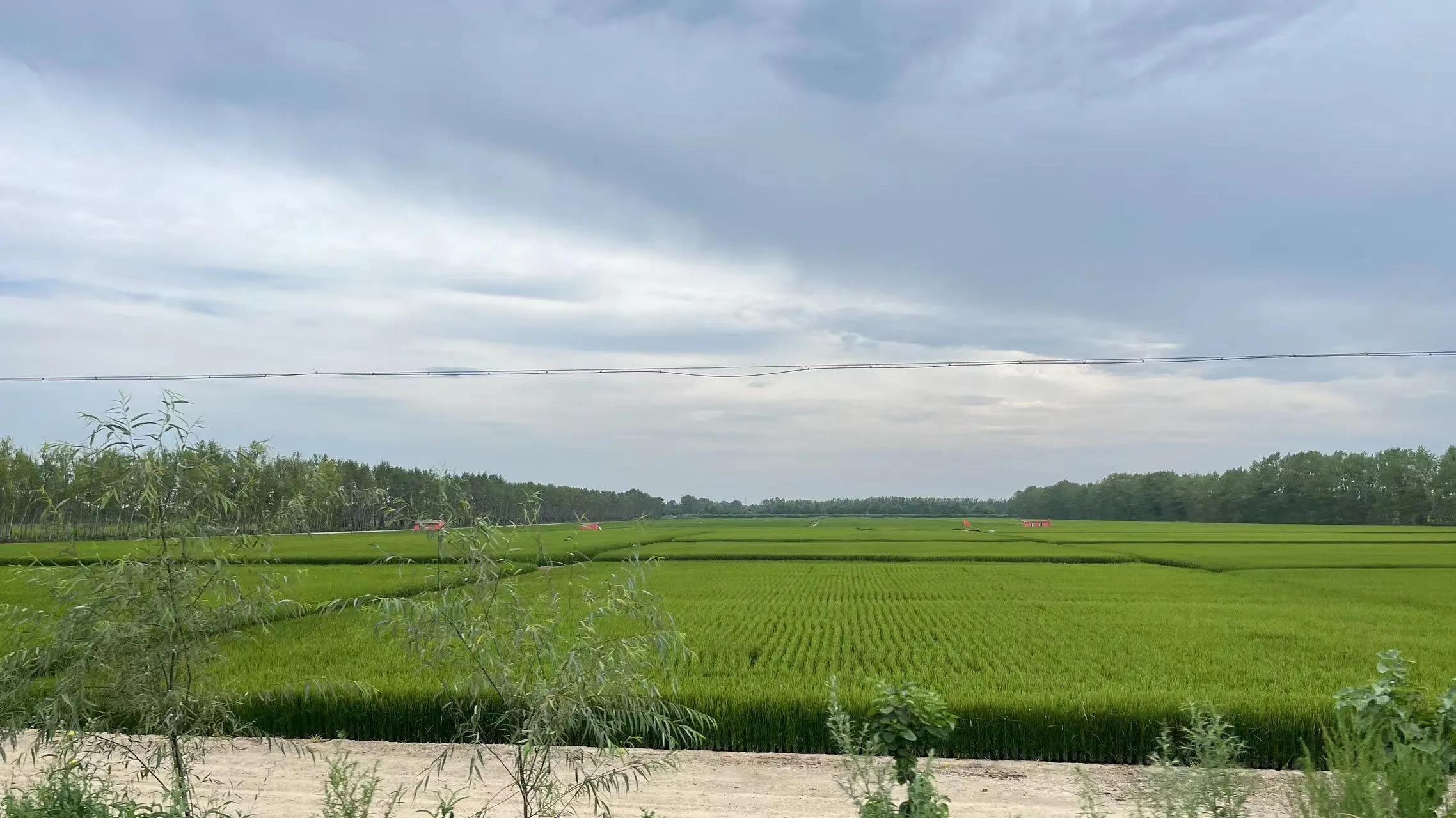 北京出发内蒙东北自驾环线图,北京至大兴安岭自驾攻略