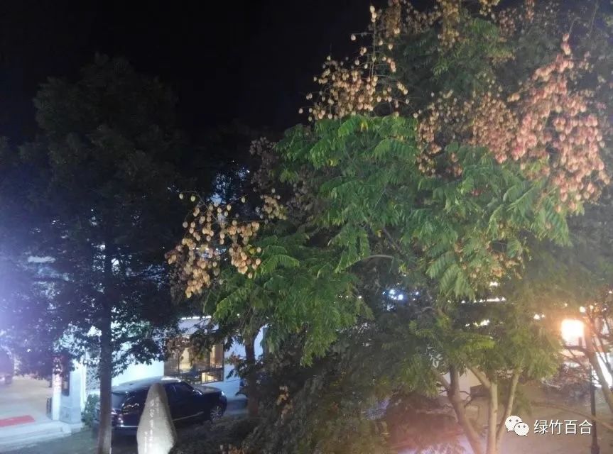 阳澄湖大闸蟹蒸多久,阳澄湖大闸蟹