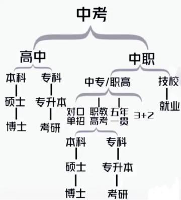 四川部分城市录取分数线公布，北大教授建议取消中考分流