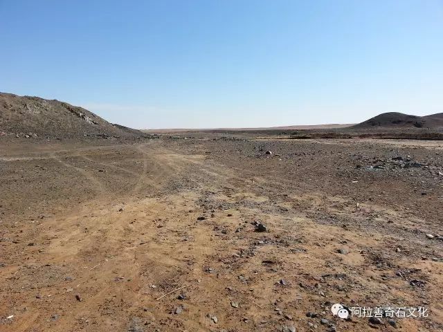 阿拉善奇石博物馆,阿拉善黄碧玉奇石