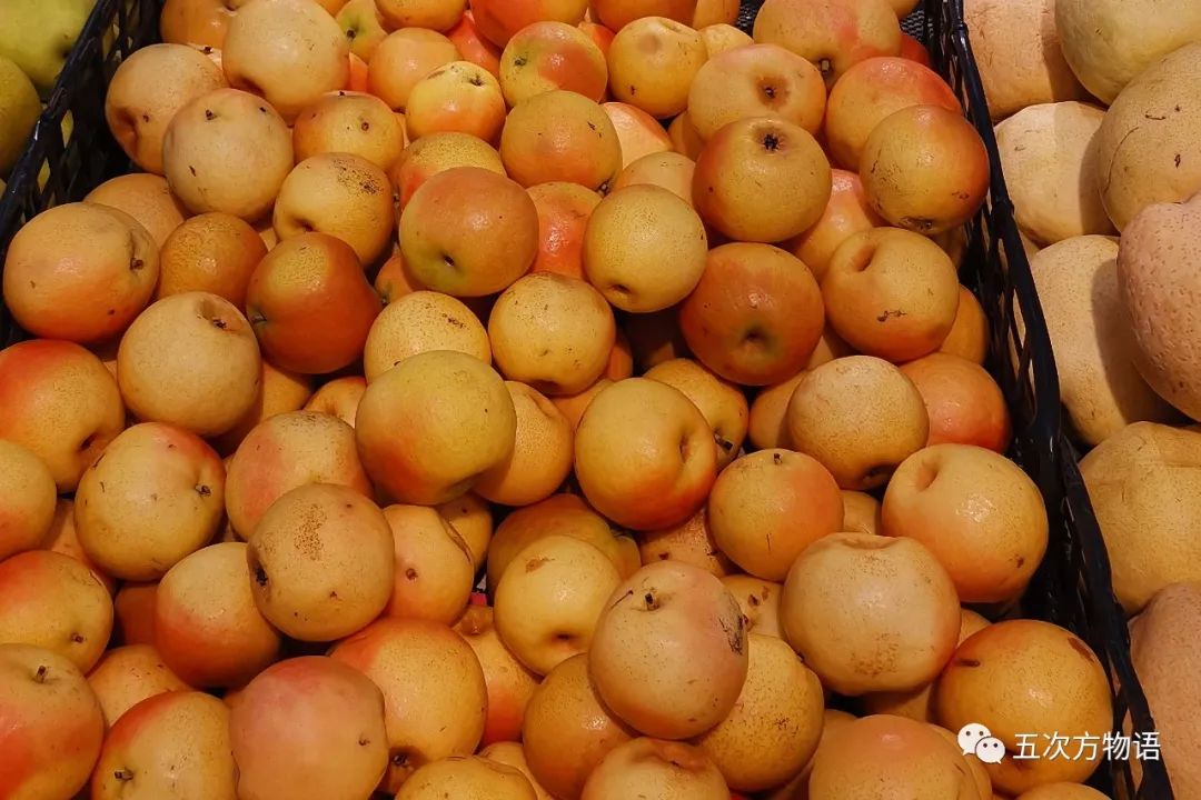 蔷薇科水果是什么,蔷薇亚科著名水果