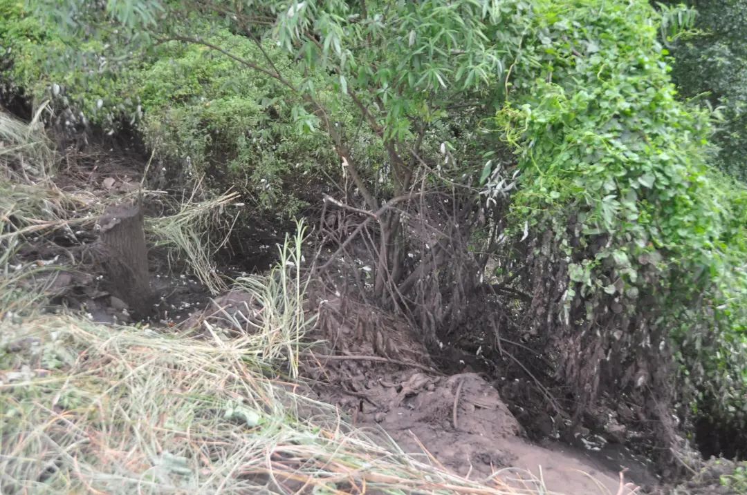 污染环境罪危险废物典型案例,环境污染罪严打2016年