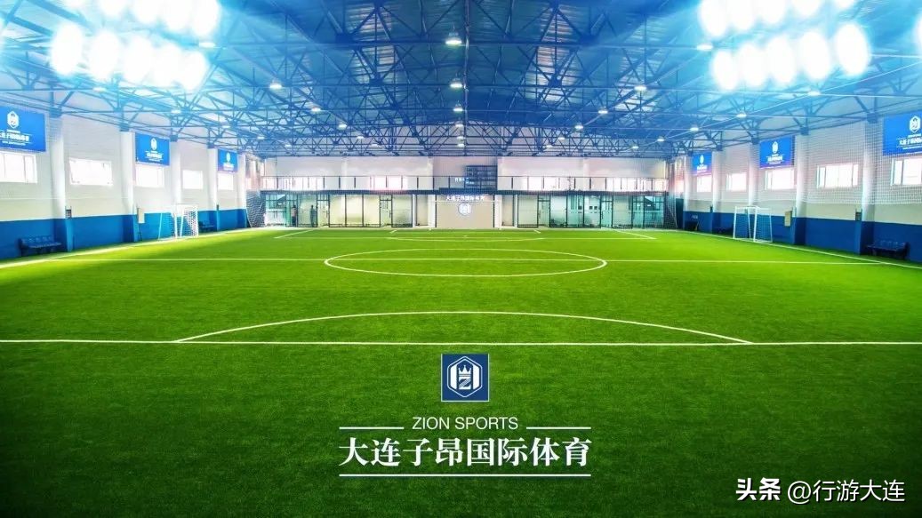 大连体育中心足球场专业足球场,世界杯足球场比赛场地