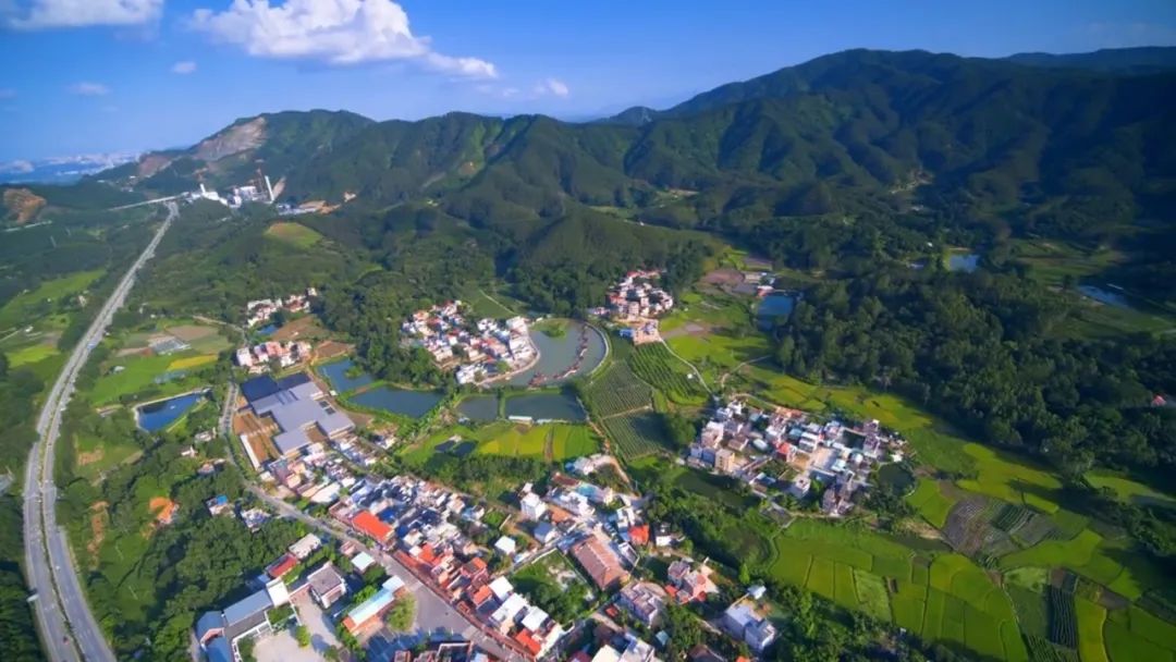 惠州横沥怡情谷温泉酒店,惠州怡情谷温泉度假村攻略