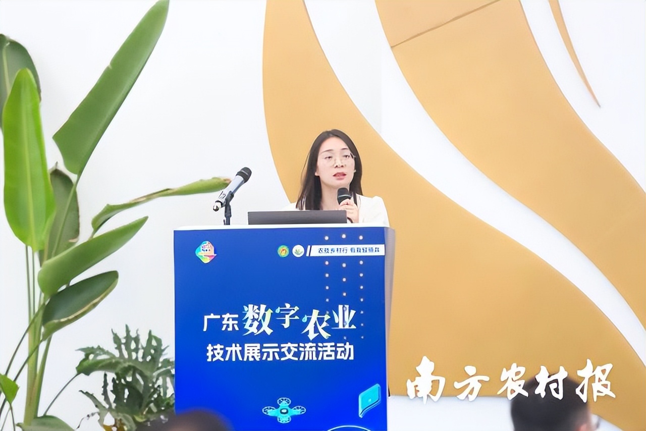 数字农业与智慧农业发展,广东将实施数字农业建设行动