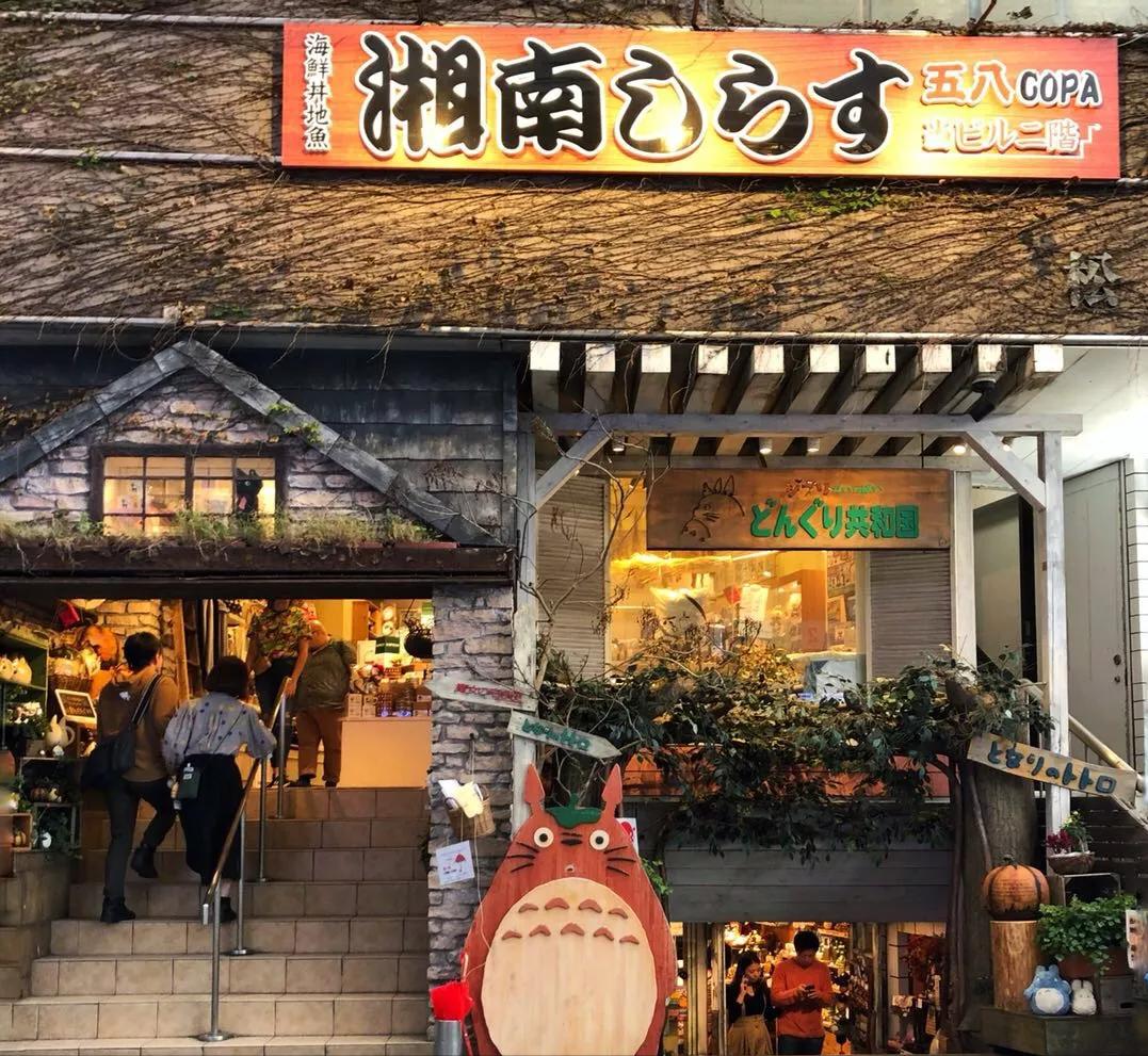 日本一个女生自己去旅游,女生日本独自旅行