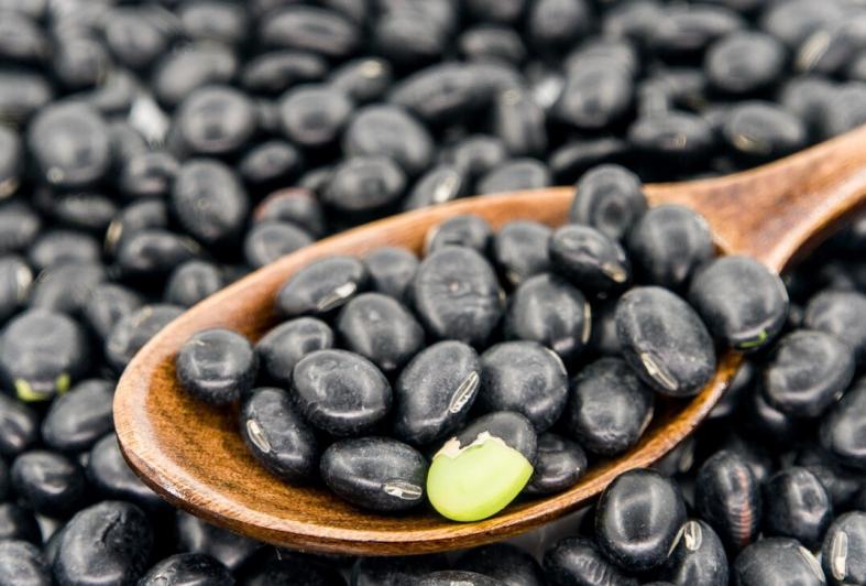 滋阴扶阳食物,男人冬季吃什么补身体