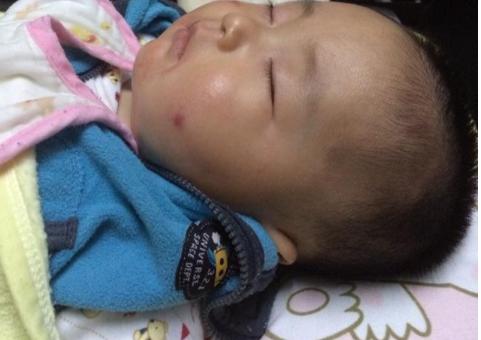 蟑螂怎么消灭最彻底蟑螂长什么样,有蟑螂怎么办灭蟑螂最有效的方法