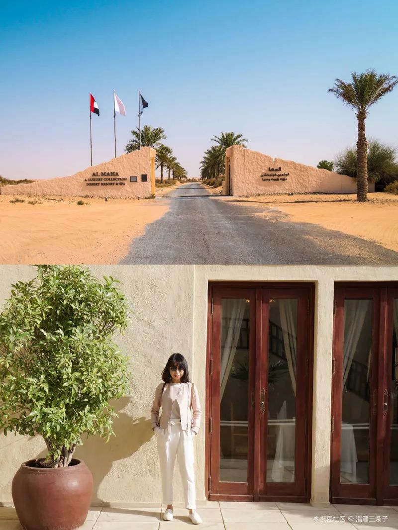 花了5.5w,只为在迪拜的沙漠里和羚羊相伴入睡