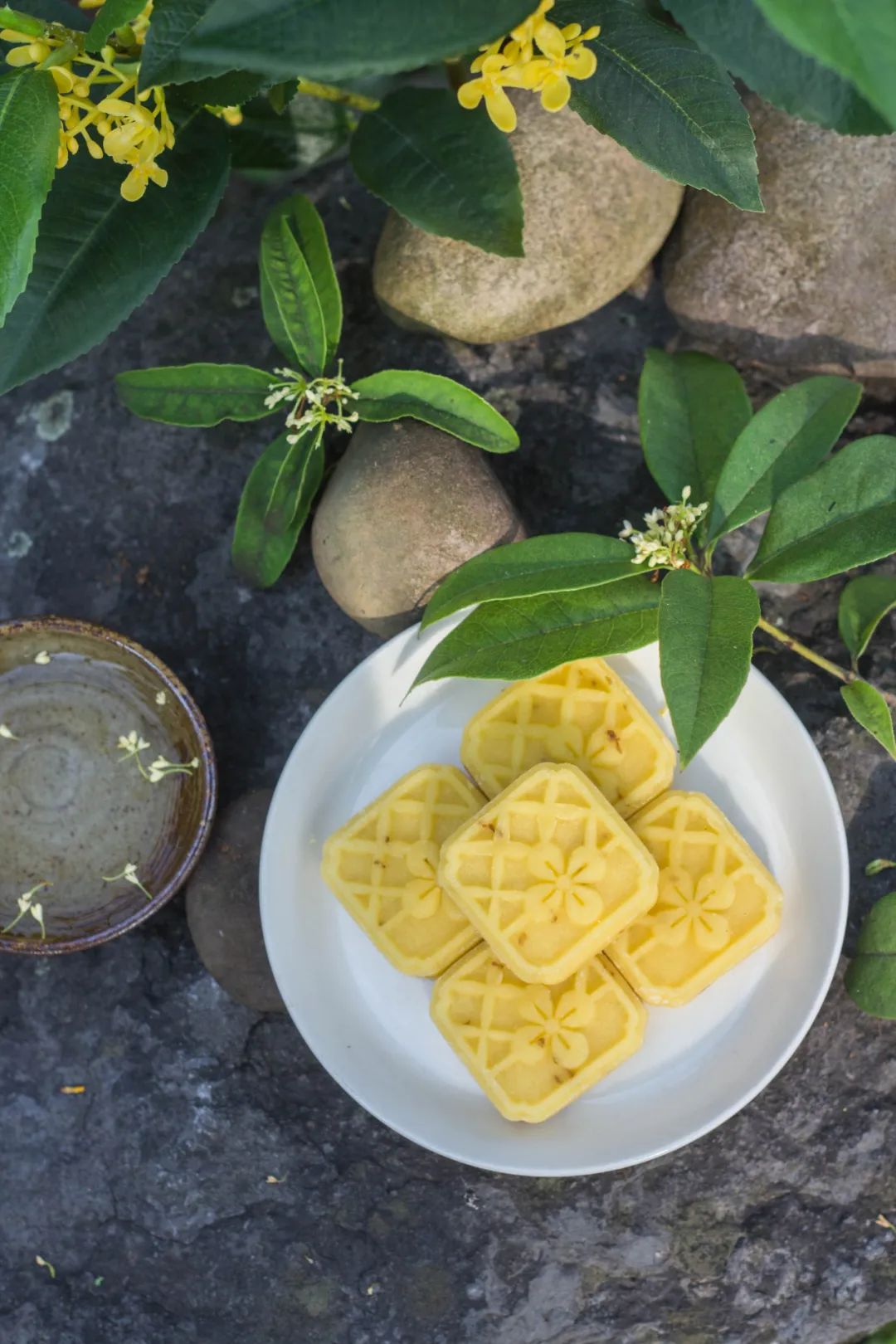 秋意渐浓，收藏十月咸宁的专属香气……