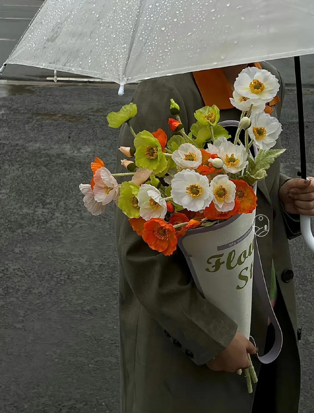 我将玫瑰藏于身后的文案搞笑,朋友圈的文案短句治愈自己