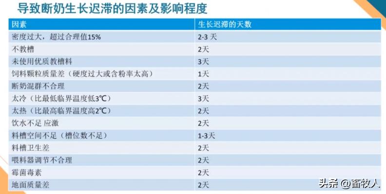 万建美博士:母仔一体化低蛋白猪料配方方案的设计与应用关键