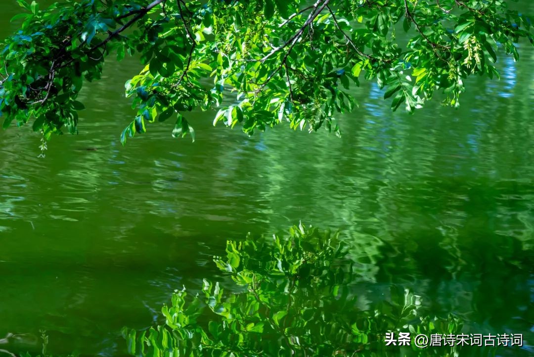 文人笔下夏天唯美句子,不同文人笔下的春天