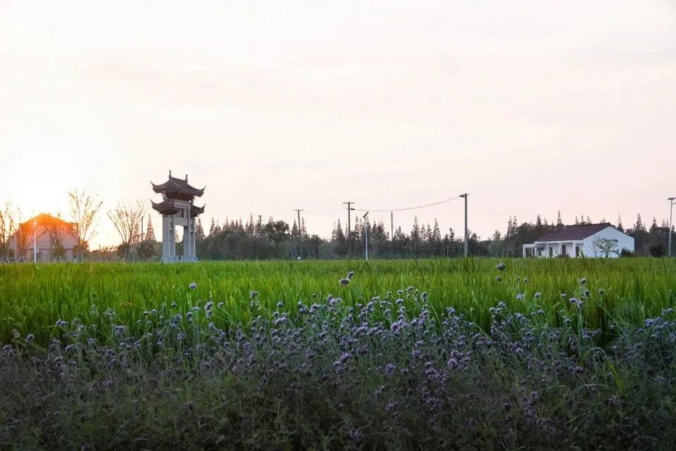 贵州省5起乡村振兴典型案例通报,乡村振兴中可以做哪些景观设计