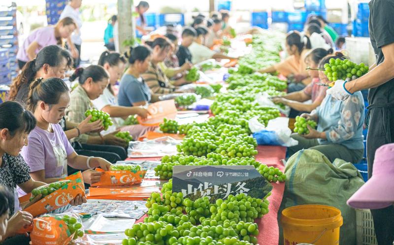 抖音电商发力“内容+货架”电商，服务社会发展